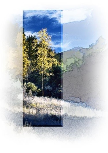 Photography titled "at the creek - Sept…" by John Stevenson, Original Artwork