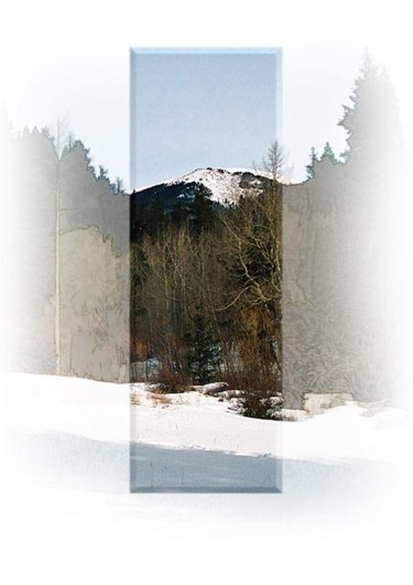 Photography titled "at the creek - Febr…" by John Stevenson, Original Artwork