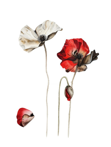 Poppies Fragile Beauty Peinture intitulée "Poppies Fragile Bea…" par Olesia Borysova, Œuvre d'art originale, Aquarelle