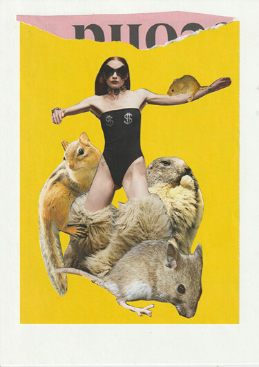 Collages intitulée "Furlady" par Miss Eclectic, Œuvre d'art originale, Collages