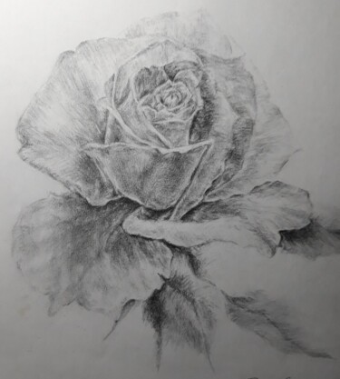 Tekening getiteld "Светлая роза" door Olga Lobova, Origineel Kunstwerk, Potlood