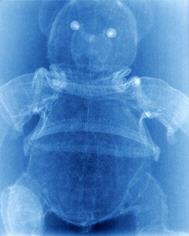 "Teddy bear X ray" başlıklı Fotoğraf Gey 75 tarafından, Orijinal sanat, Analog Fotoğrafçılık