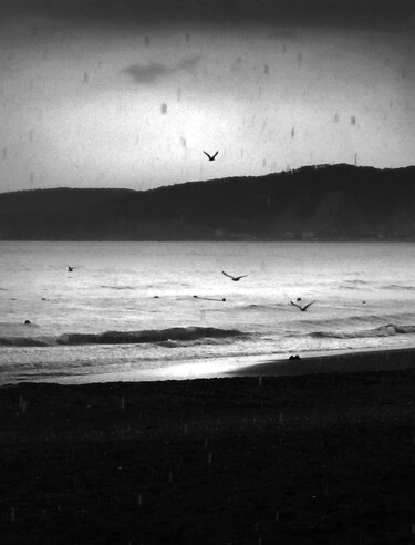 Fotografía titulada "Dead season /4" por Vadim Bogdanov, Obra de arte original, Fotografía digital