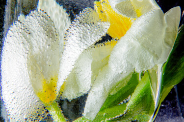 Photographie intitulée ""Effervescence" par Olivier D'Auria, Œuvre d'art originale, Photographie numérique