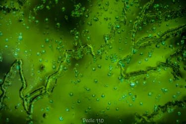 摄影 标题为“structure gelée” 由Patrick Pichon, 原创艺术品, 数码摄影 安装在铝上