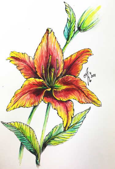 Hand-drawn illustration of an orange-red lily – Vibrant