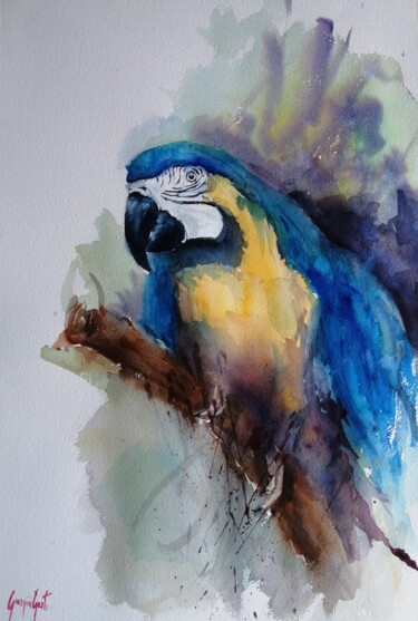 Peinture intitulée "parrot 9" par Giorgio Gosti, Œuvre d'art originale, Aquarelle