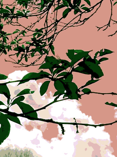 Photography titled "ELEGANCE OF NATURE" by John Stanley, Original Artwork, Digital Photography