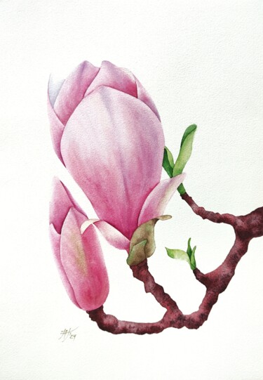 绘画 标题为“Magnolia” 由Marina Tolkachyova (art.marinette), 原创艺术品, 水彩