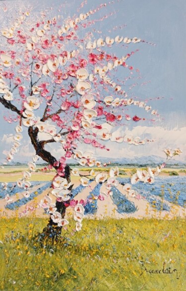 Painting titled "Amandiers à Valenso…" by Bruno Gauclain, Original Artwork, Oil