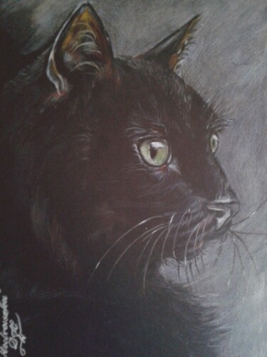 Desenho intitulada "TOSIA" por Dk Wrońska, Obras de arte originais, Lápis
