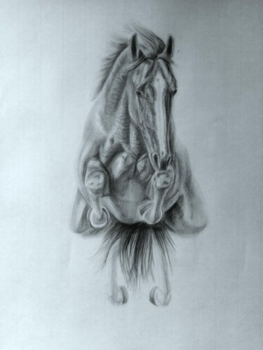 Tekening getiteld "Horse study" door László Benkő, Origineel Kunstwerk, Grafiet