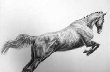 图画 标题为“Horse study” 由László Benkő, 原创艺术品, 铅笔 安装在纸板上