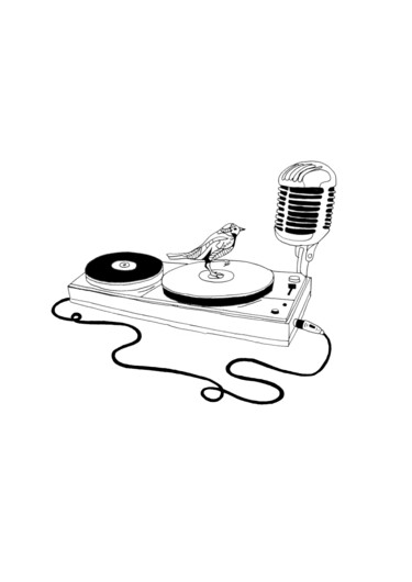 Рисунок под названием "Oiseau-platine-micro" - Adrien Blatzezyk, Подлинное произведение искусства, Акрил Установлен на Друга…