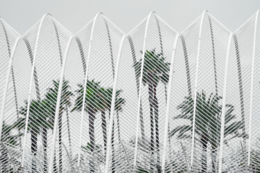 Photographie intitulée "Lines and Leaves" par Gilliard Bressan, Œuvre d'art originale, Photographie numérique