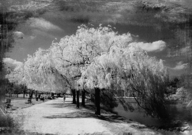 Photography titled "Vincennes" by Corinne Jolly (CoJo), Original Artwork, Analog photography