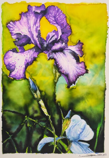 Disegno intitolato "IRIS" da Laurent Rosso, Opera d'arte originale, Inchiostro Montato su Altro pannello rigido