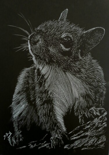 Squirel Dessin intitulée "Squirel" par Georges Et David Briot, Œuvre d'art originale, Crayon