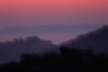 Nuance rose nature