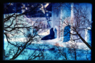 Photography titled "décadré la foret 16" by Pauline Foucart, Original Artwork, Non Manipulated Photography