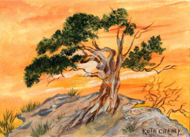 Sunset behind Lone Tree