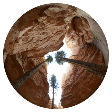 Photographie intitulée "Petra" par Franck Laharrague, Œuvre d'art originale, Photographie non manipulée