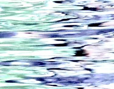 Central Park 7 - Boat Pond Water 25g2b 摄影 标题为“Central Park 7 - Bo…” 由Ken Lerner, 原创艺术品, 数码摄影
