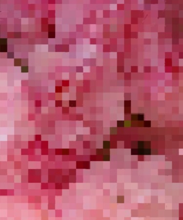 Digitale Kunst mit dem Titel "Le printemps 2" von Mélanie Cavalec, Original-Kunstwerk, 2D digitale Arbeit