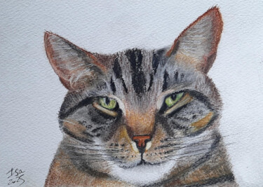 Peinture intitulée "The cat" par Isa-Isarielle, Œuvre d'art originale, Aquarelle