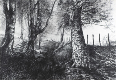 Dessin intitulée "Â travers le bois." par B. Alexis, Œuvre d'art originale, Craie