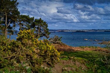 Carantec, vue de l'estran depuis l'île Callot. Fotografia intitulada "Carantec, vue de l'…" por Thierry Martin, Obras de arte originais, Fotografia digital