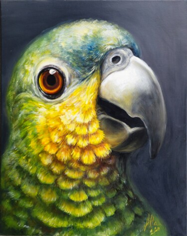 Amazon Parrot Coco – Vibrant and Expressive Painting titled "Amazon Parrot Coco…" by Alla Ostrovsky, Original Artwork, Oil