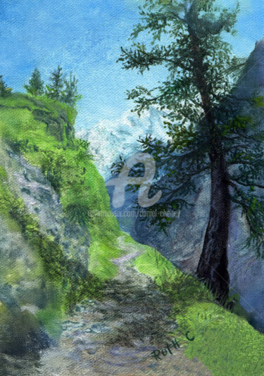 Hillside Tree