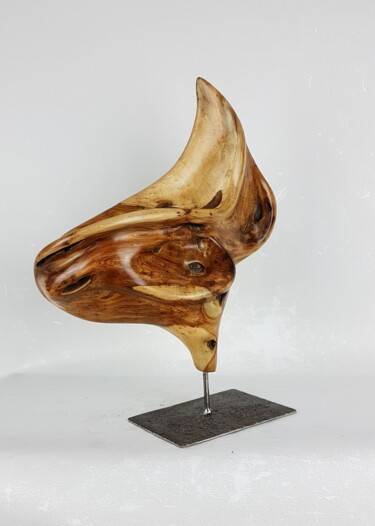 Sculpture titled "Abstract" by Bernard Geoffroy, Original Artwork, Wood