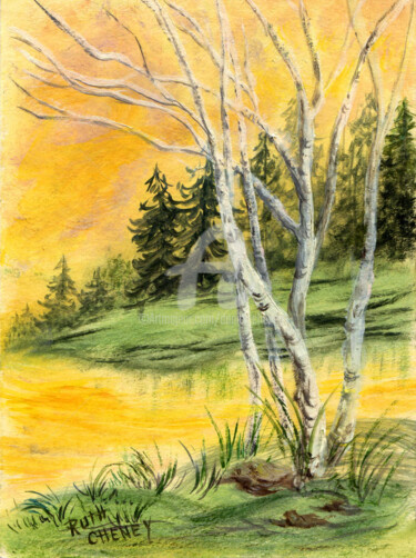 White Aspen