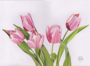 Tulipes du printemps