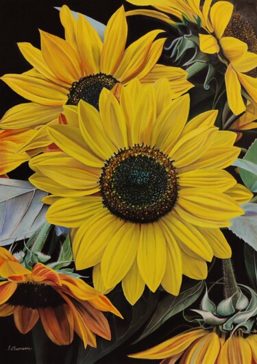 图画 标题为“Girasoles” 由Sergio Chamorro, 原创艺术品, 粉彩