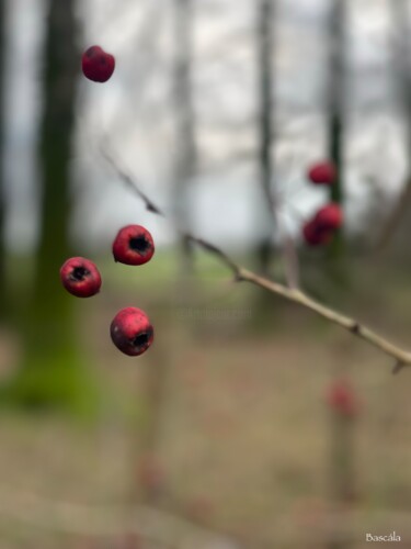 "Spiritual picture 3…" başlıklı Fotoğraf Anita Dominguez (BASCÁLA) tarafından, Orijinal sanat, Dijital Fotoğrafçılık