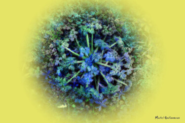 Arts numériques intitulée "Mandala" par Michel Guillaumeau, Œuvre d'art originale, Peinture numérique