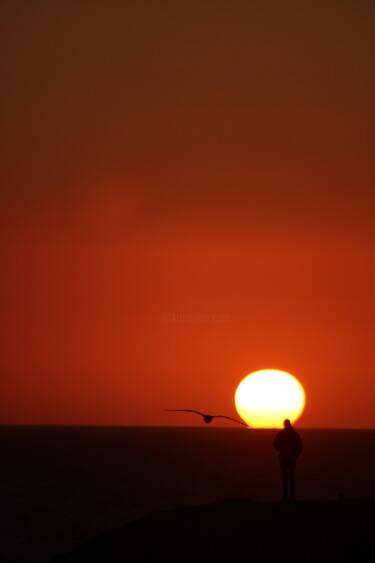 제목이 "Coucher de soleil"인 사진 Amelie Metzger로, 원작, 디지털