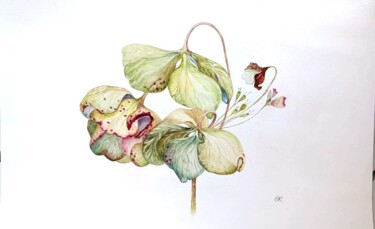 Peinture intitulée "Beauty of Imperfect…" par Olesia Borysova, Œuvre d'art originale, Aquarelle