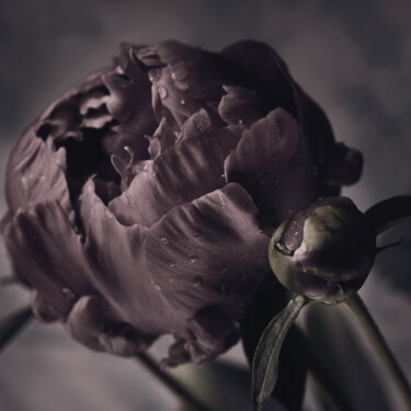 "Flowerissimo_17742" başlıklı Fotoğraf Michael Vdovin tarafından, Orijinal sanat, Dijital Fotoğrafçılık