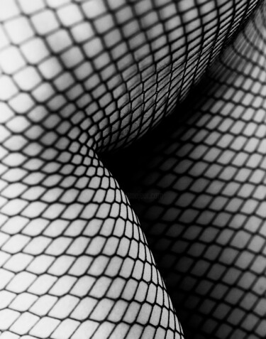 摄影 标题为“Fishnet” 由Kourosh Sotoodeh, 原创艺术品, 数码摄影