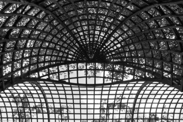 Photography titled "N°21 - Bosquet de l…" by Charles Guy, Original Artwork, Non Manipulated Photography