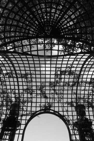 Photography titled "N°20 - Bosquet de l…" by Charles Guy, Original Artwork, Non Manipulated Photography