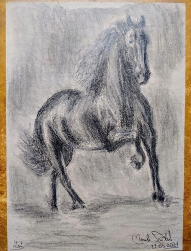 Tekening getiteld ""Koń"" door Marek Spetel, Origineel Kunstwerk, Potlood Gemonteerd op Plexiglas