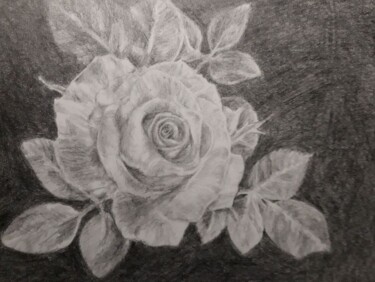 Drawing titled "Роза на темном фоне" by Olga Lobova, Original Artwork, Pencil
