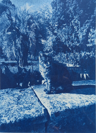 Printmaking titled "CYANOTYPE 01 : JARD…" by Manu Vielles, Original Artwork, Monotype Mounted on Cardboard