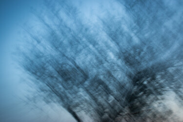Photography titled "Souffle d’arbre" by Eliora Séraphina, Original Artwork, Digital Photography