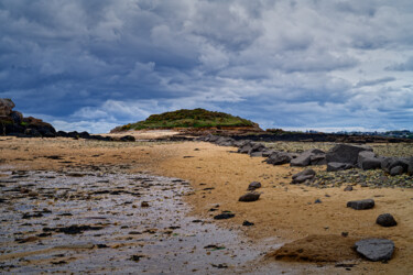 Carantec, l'île Callot, la passe aux moutons en avril. 摄影 标题为“Carantec, l'île Cal…” 由Thierry Martin, 原创艺术品, 数码摄影